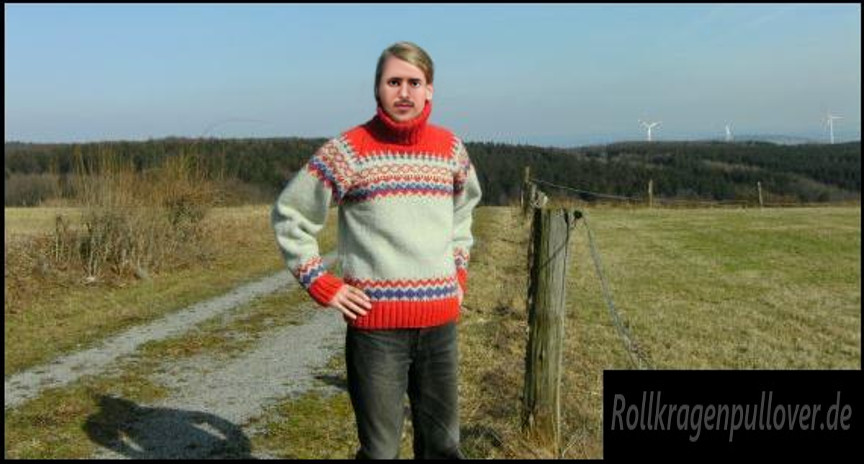 Rollkragenpullover