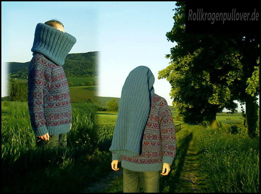 Rollkragenpullover