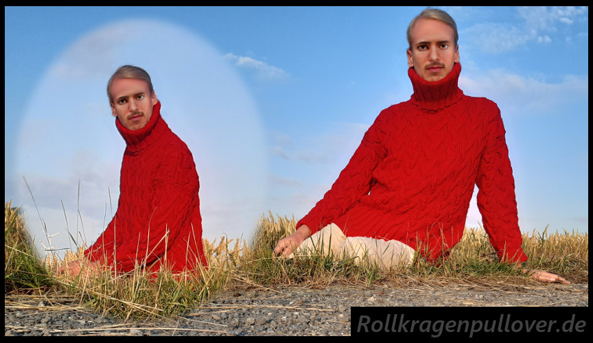 Rollkragenpullover