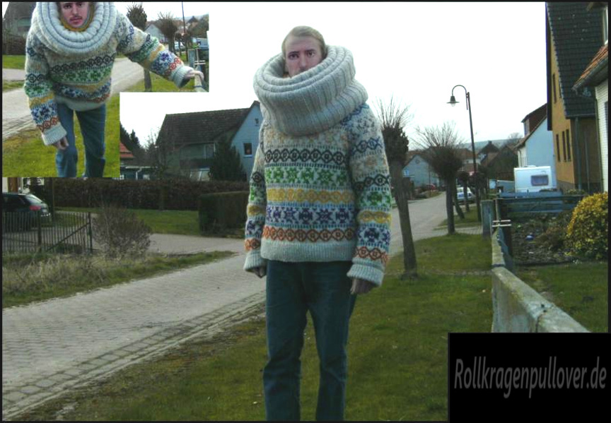 Rollkragenpullover