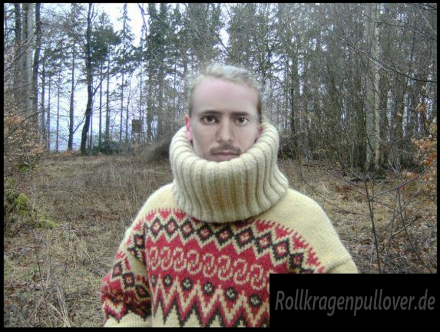 Rollkragenpullover