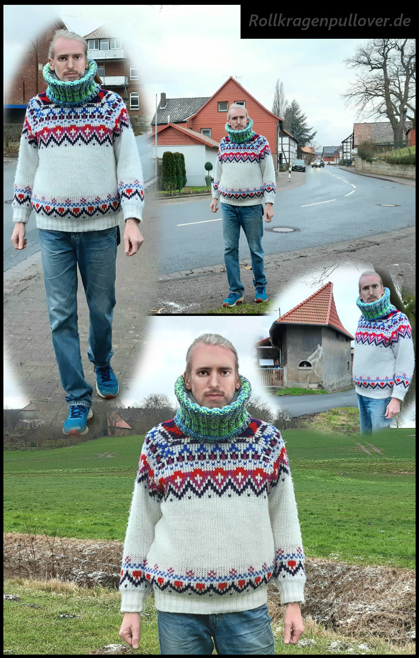 Rollkragenpullover