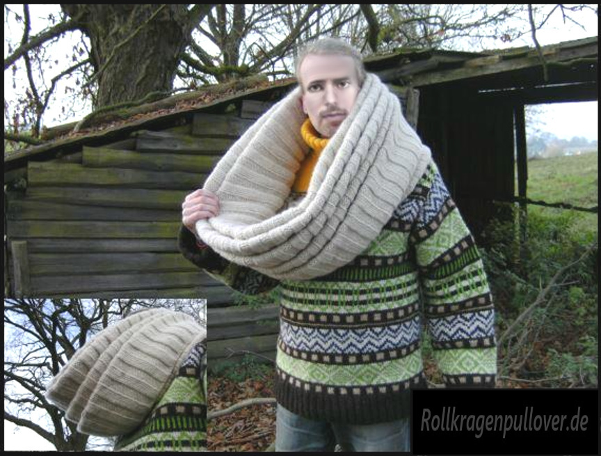 Rollkragenpullover