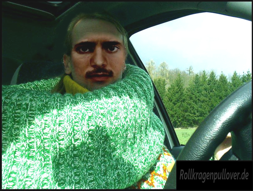 Rollkragenpullover