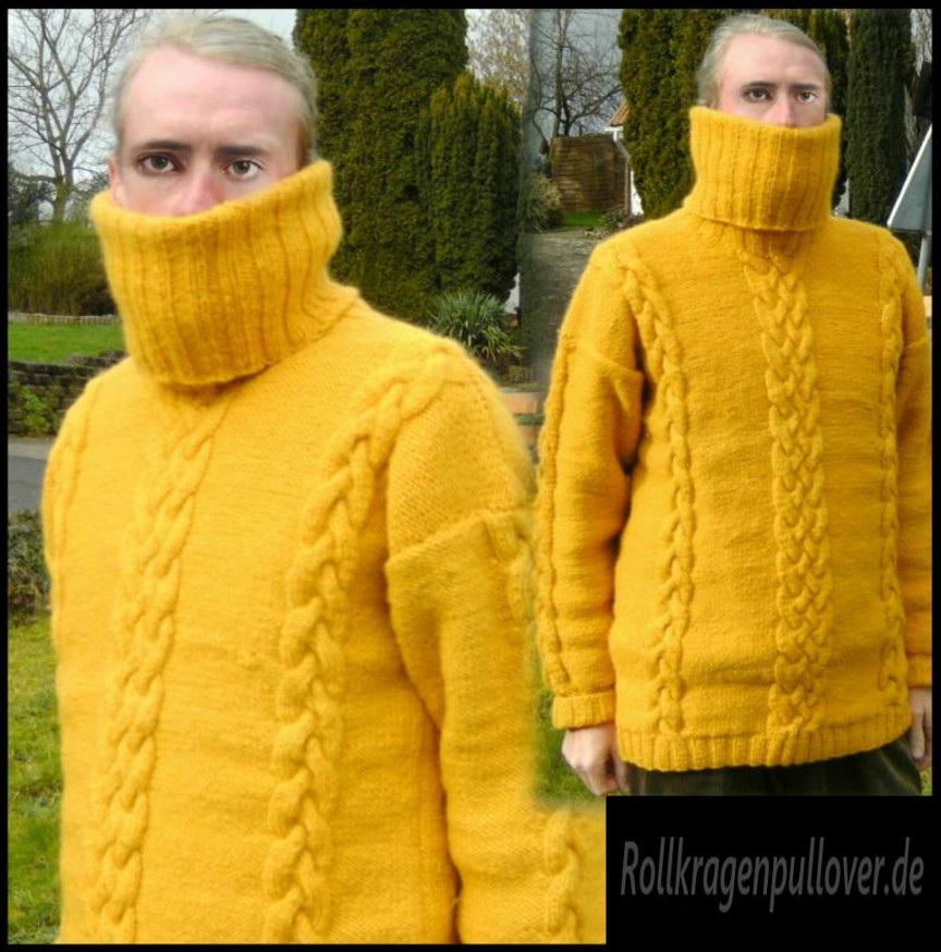 Rollkragenpullover