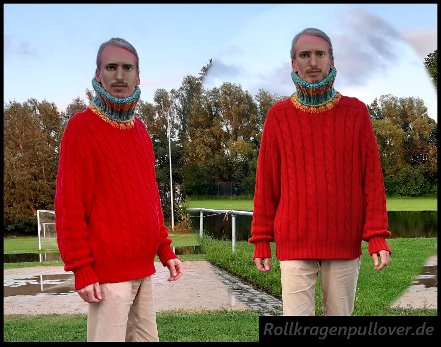 Rollkragenpullover