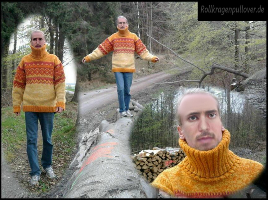 Rollkragenpullover