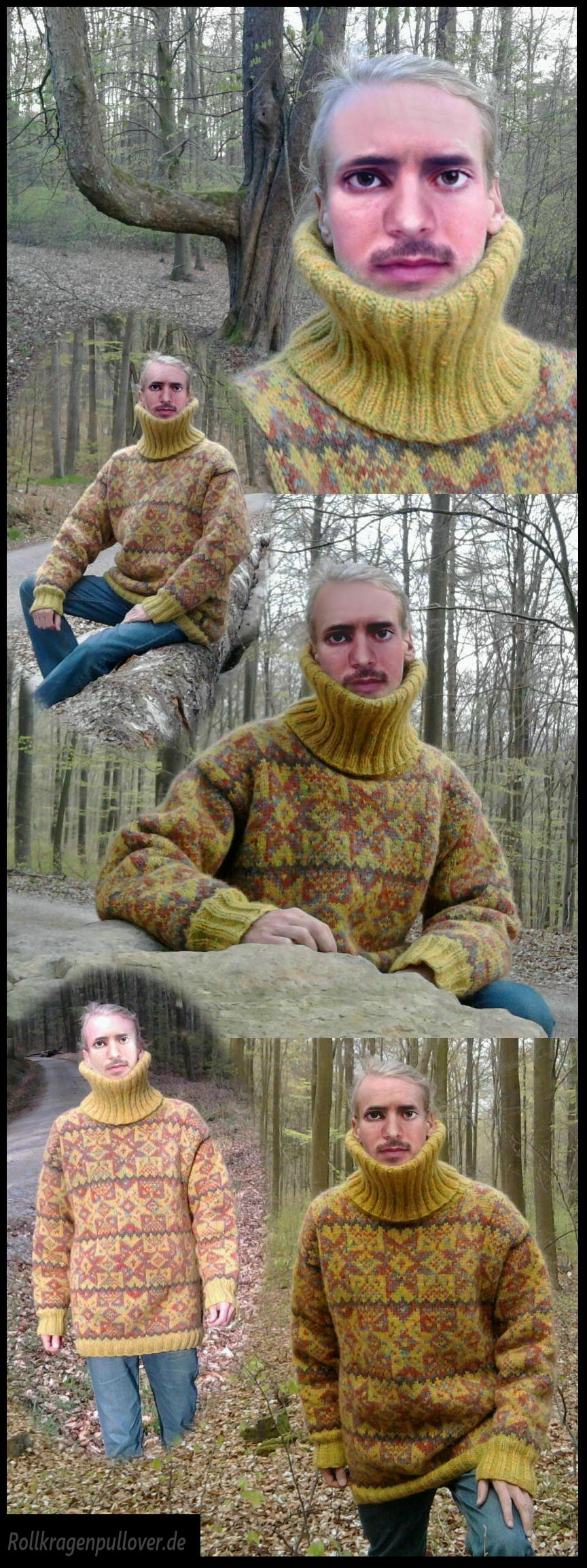 Rollkragenpullover