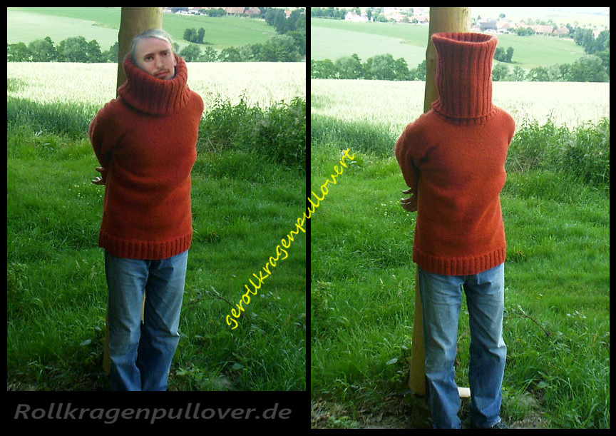 Rollkragenpullover