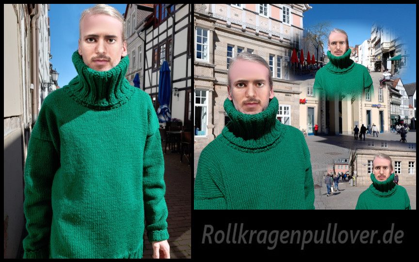 Rollkragenpullover