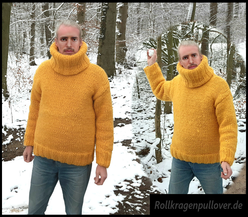 Rollkragenpullover