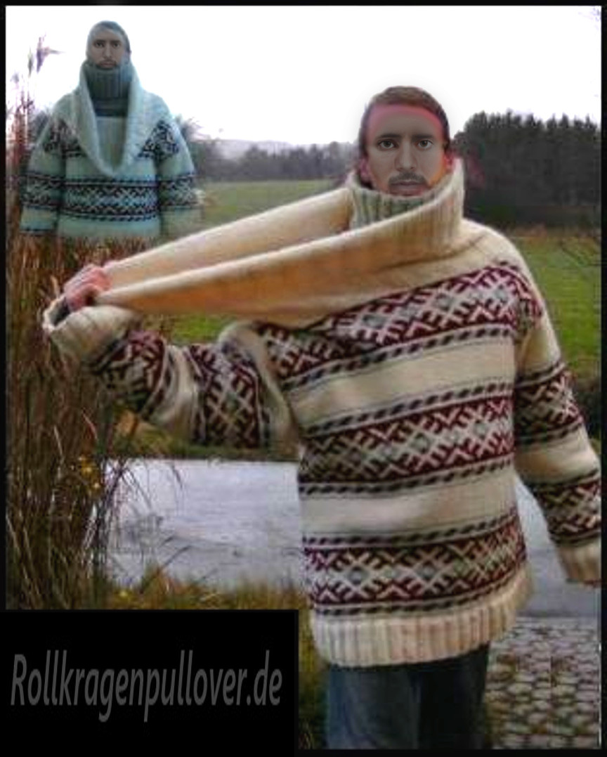 Rollkragenpullover