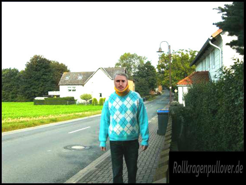 Rollkragenpullover