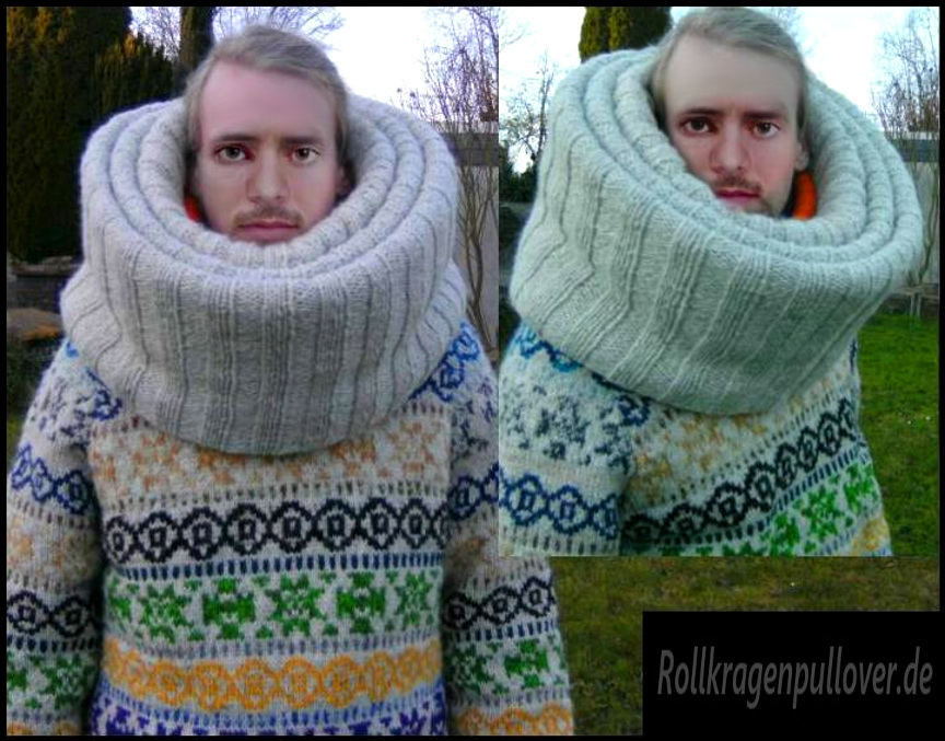 Rollkragenpullover