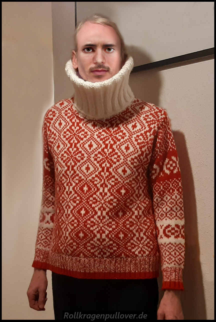 Rollkragenpullover