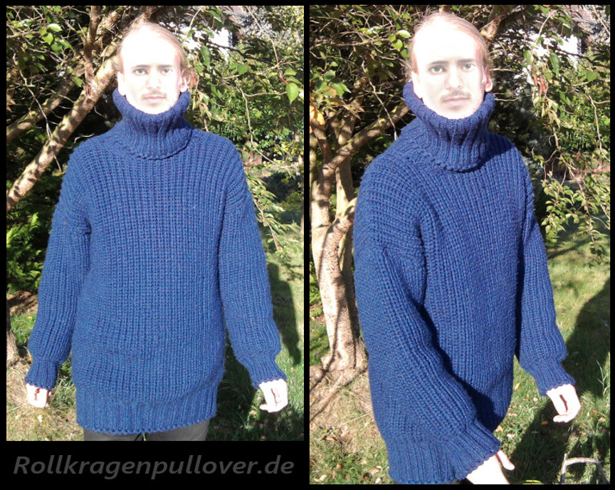 Rollkragenpullover