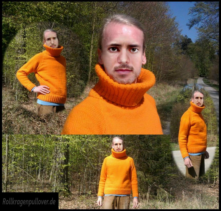 Rollkragenpullover