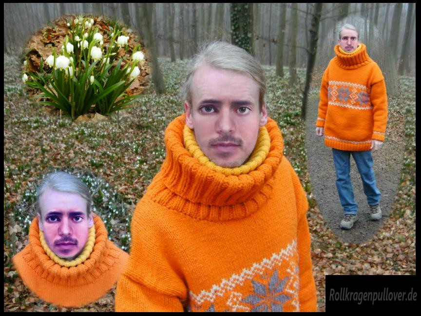 Rollkragenpullover