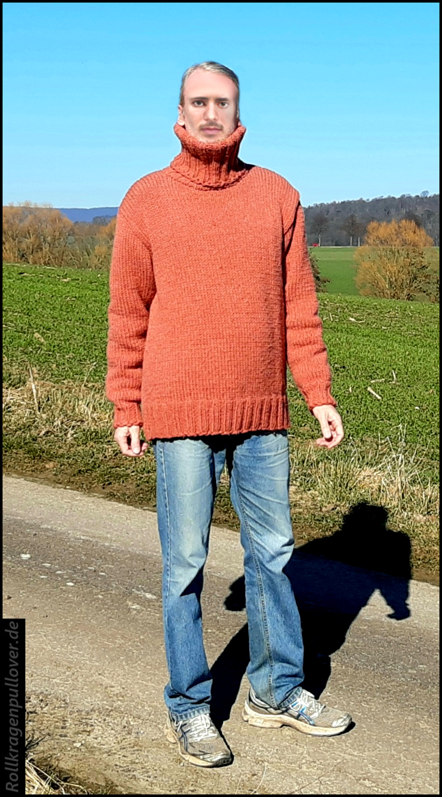 Rollkragenpullover