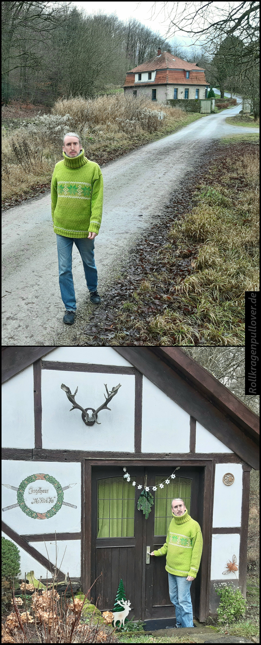 Rollkragenpullover