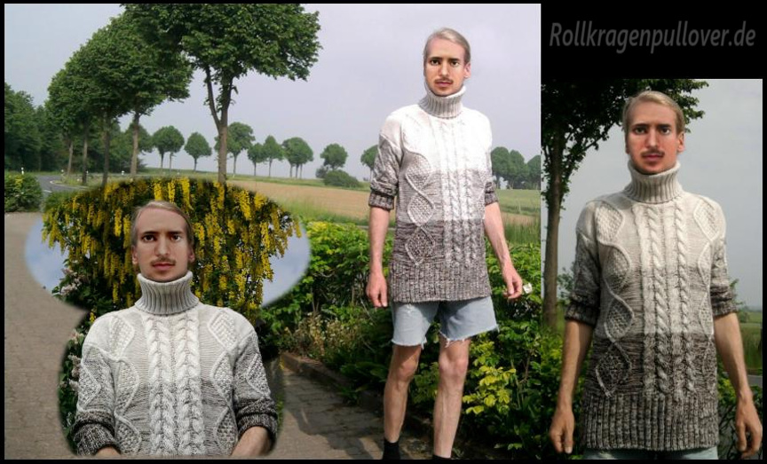 Rollkragenpullover