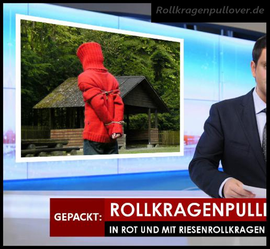 Rollkragenpullover