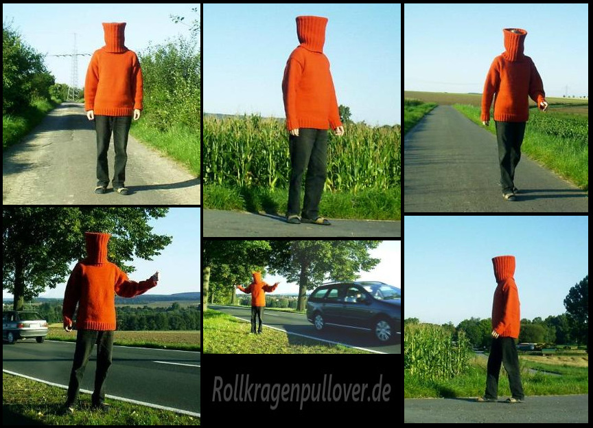 Rollkragenpullover