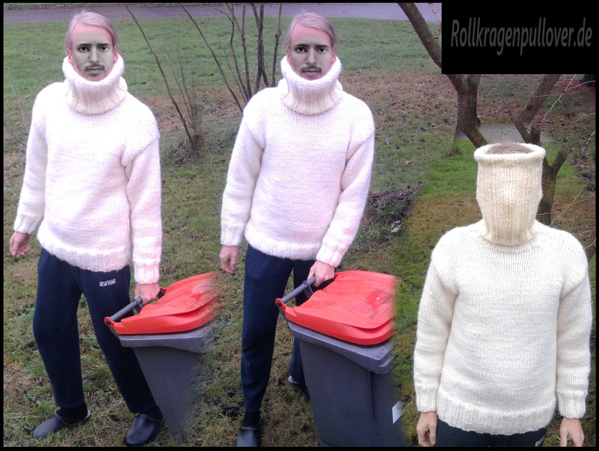 Rollkragenpullover