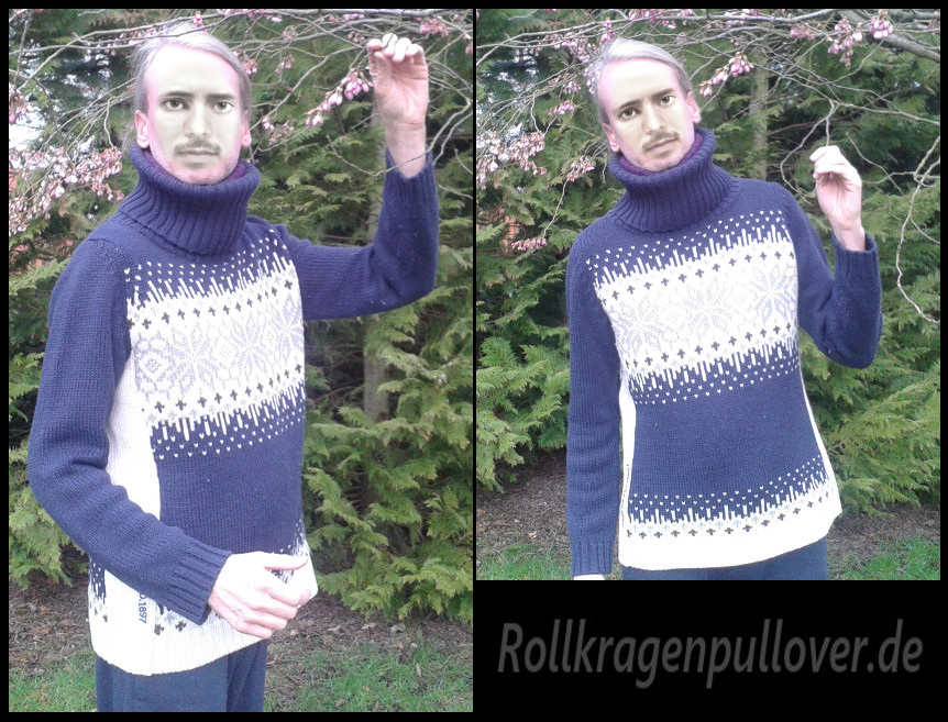 Rollkragenpullover