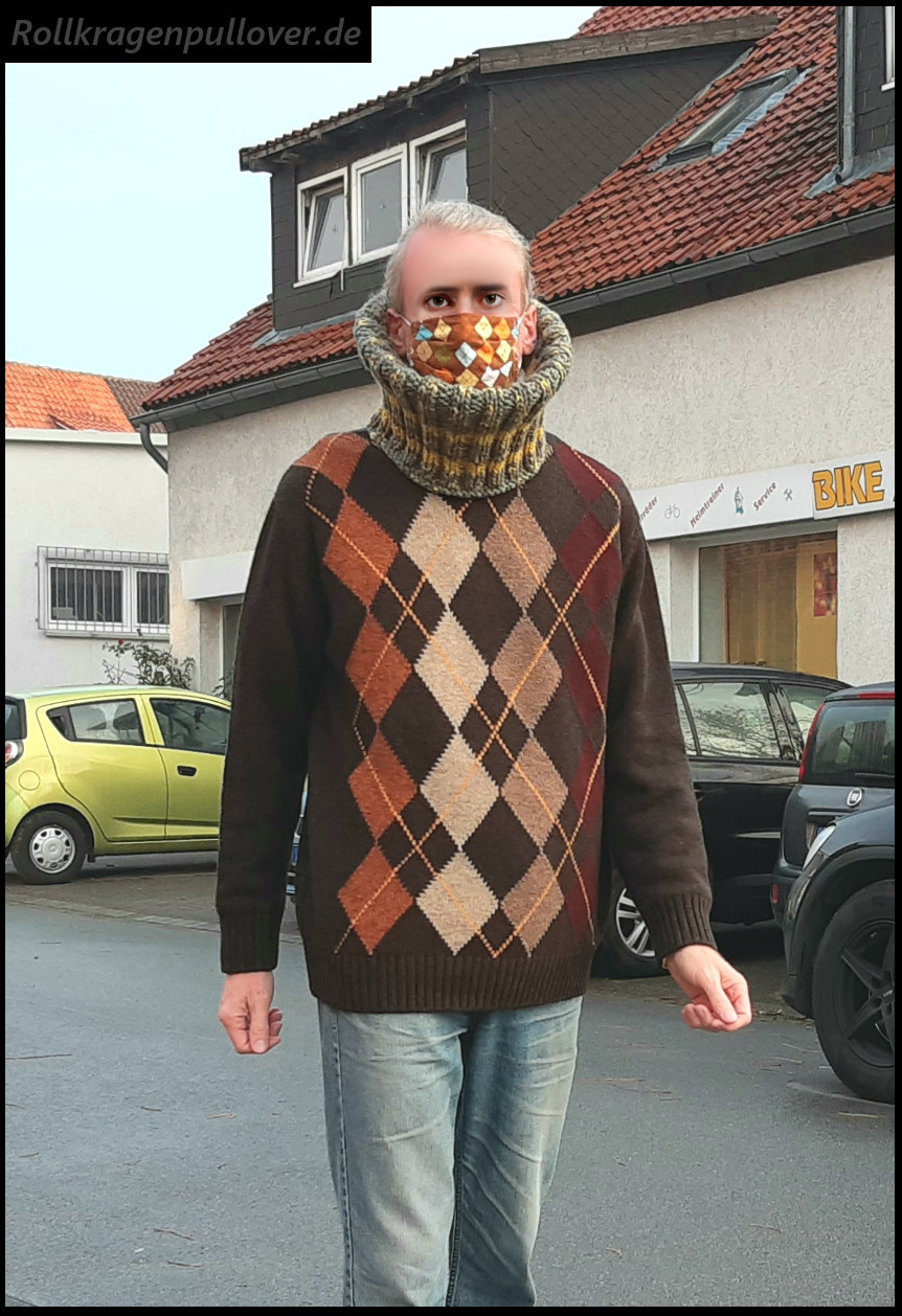 Rollkragenpullover